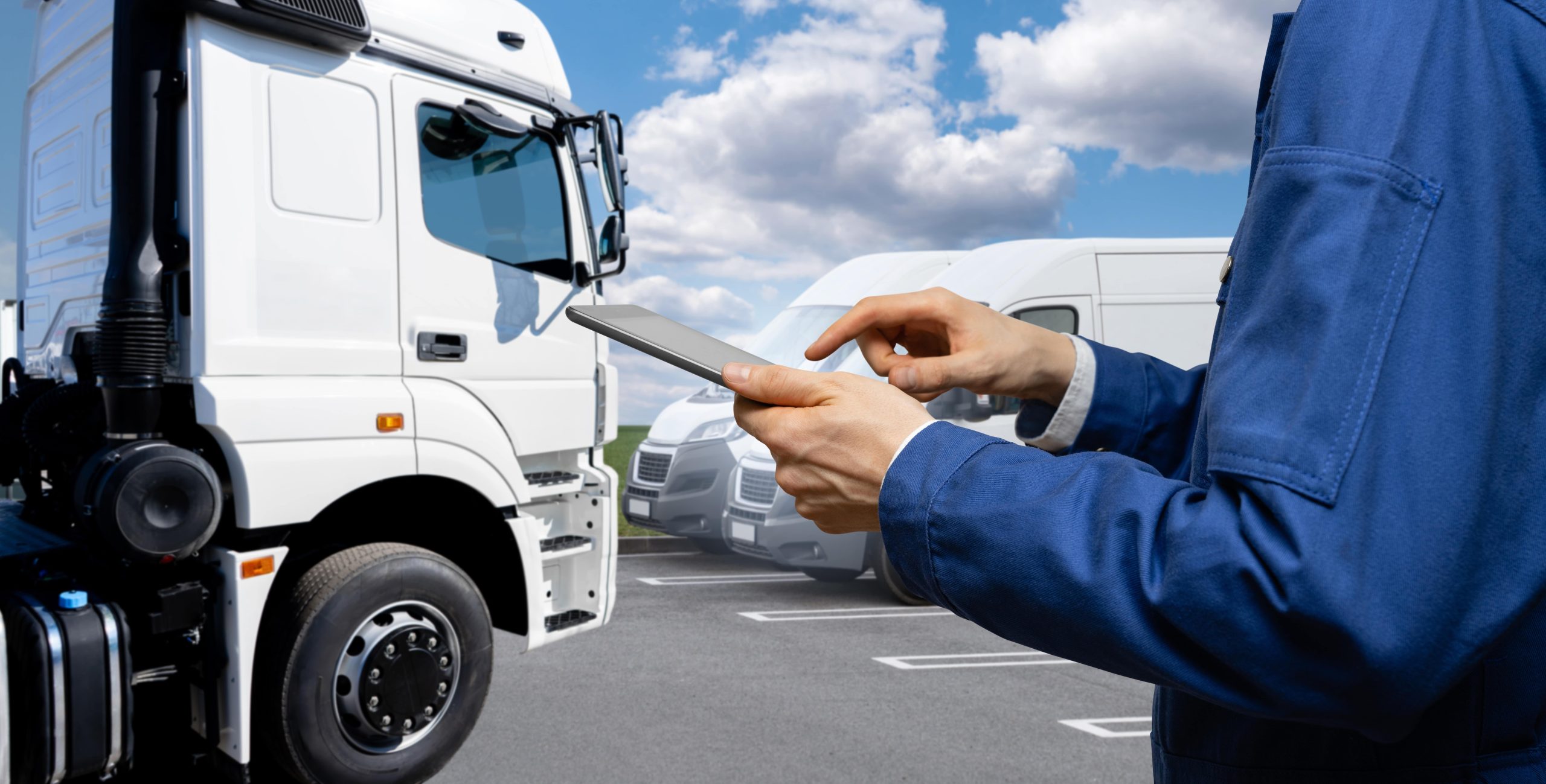 Delivery and Project Support